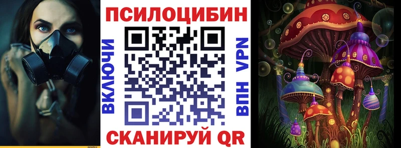 Галлюциногенные грибы Psilocybe  Белый 